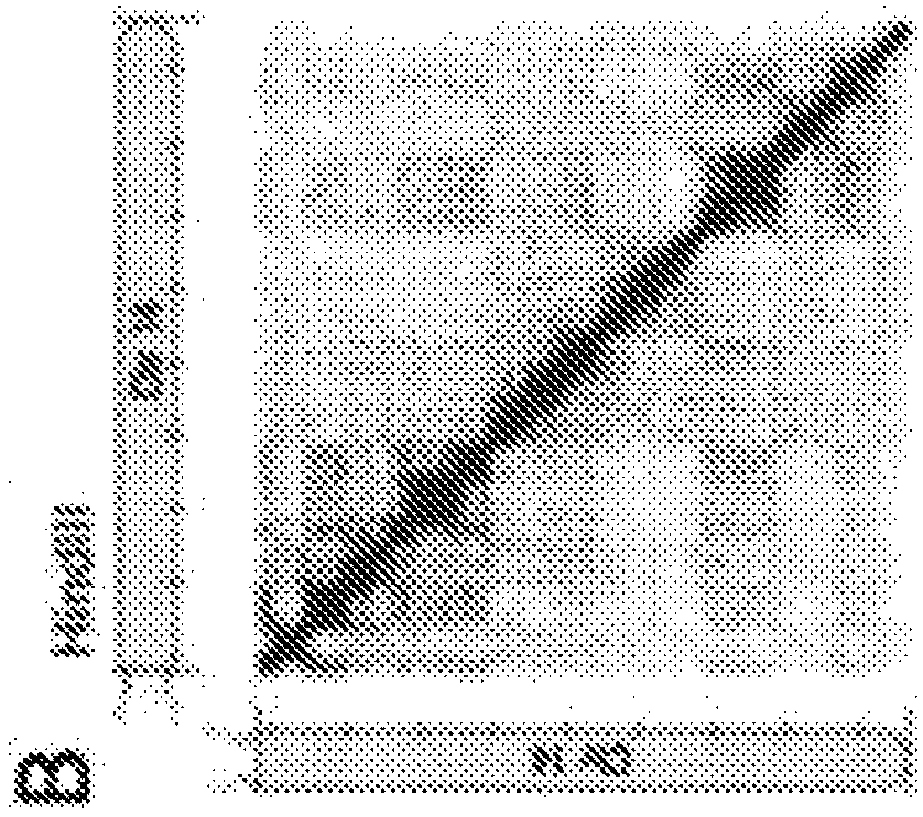 Methods for genome assembly, haplotype phasing, and target independent nucleic acid detection