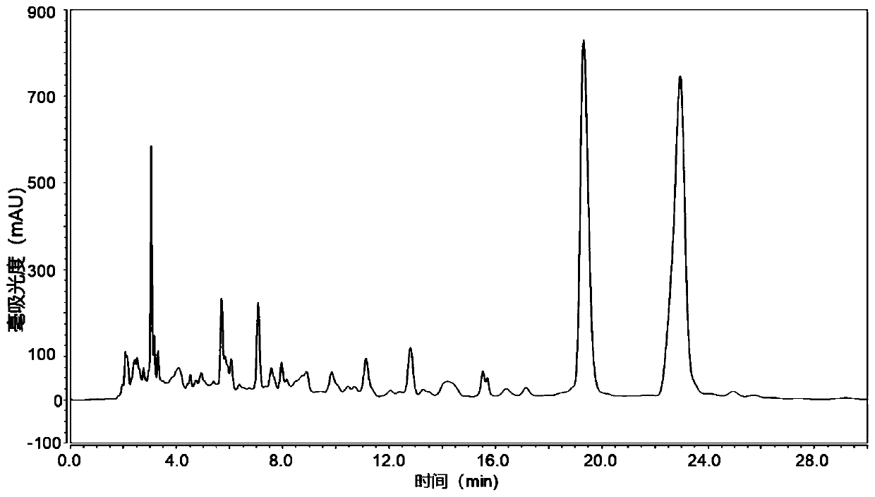 Application of amomum maximum roxb extract in preparation of alpha-glucosidase inhibitor drugs