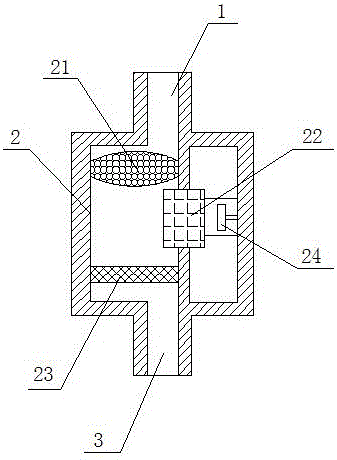 Automobile tail gas purifier