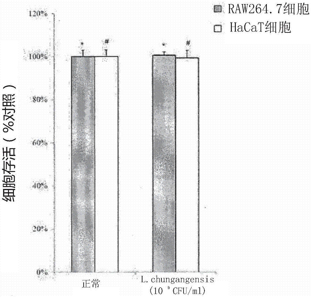 Pharmaceutical composition for preventing or treating inflammatory diseases, containing lactococcus chungangensis as active ingredient