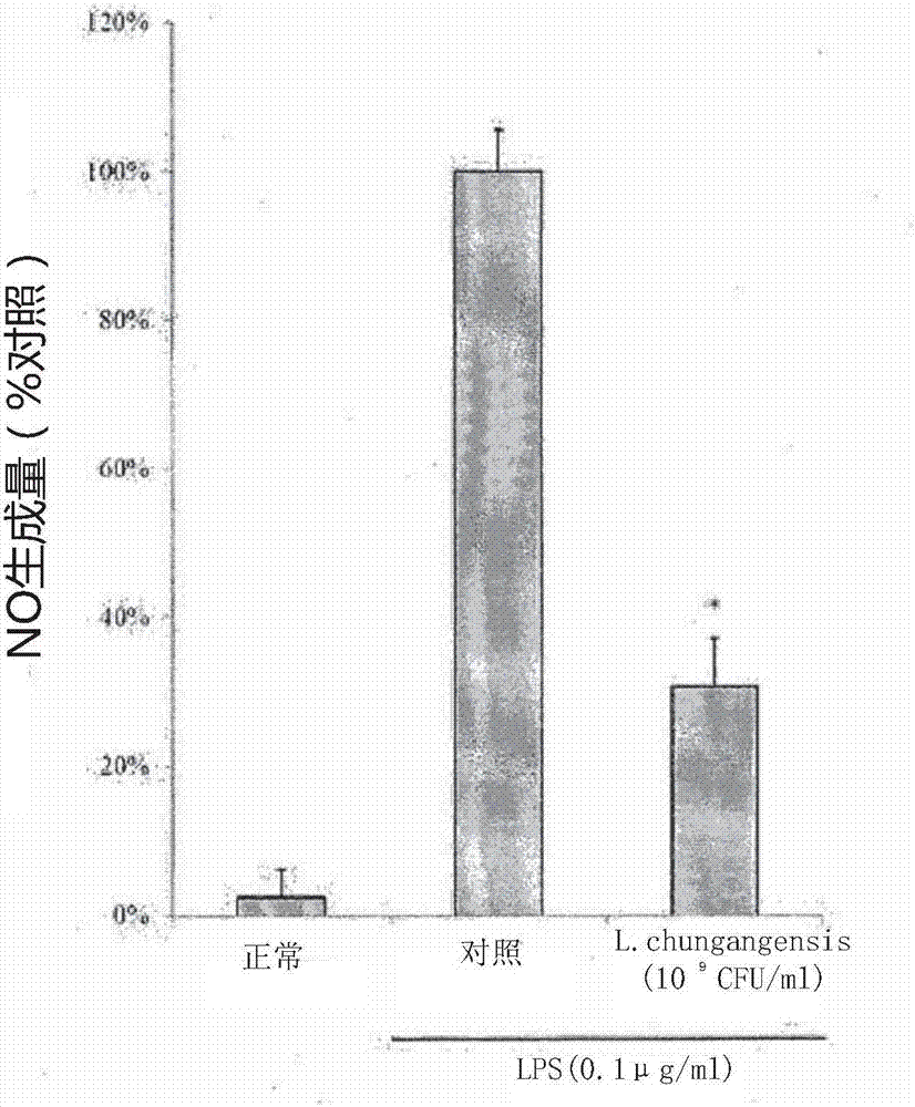 Pharmaceutical composition for preventing or treating inflammatory diseases, containing lactococcus chungangensis as active ingredient