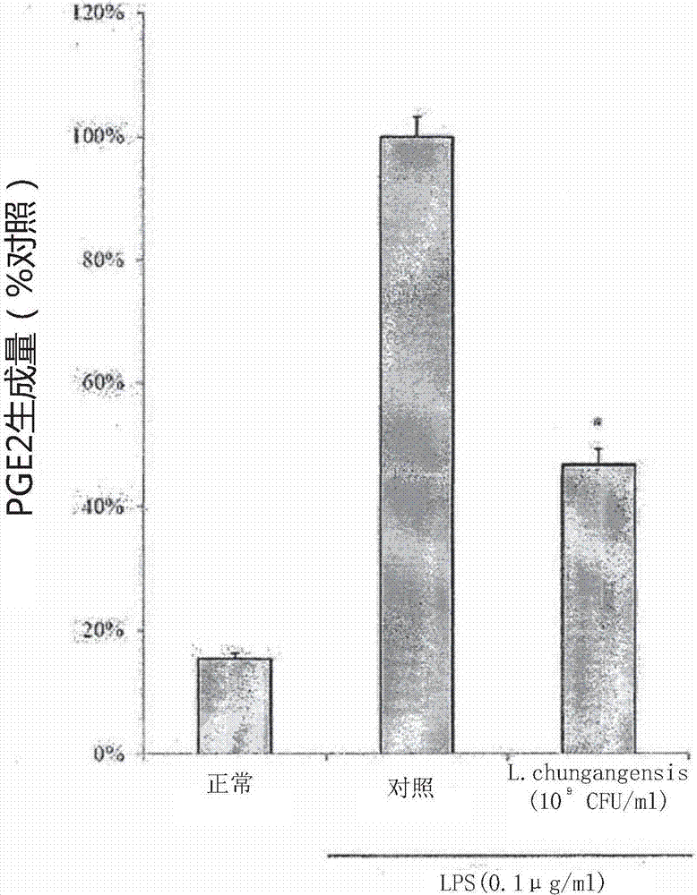 Pharmaceutical composition for preventing or treating inflammatory diseases, containing lactococcus chungangensis as active ingredient