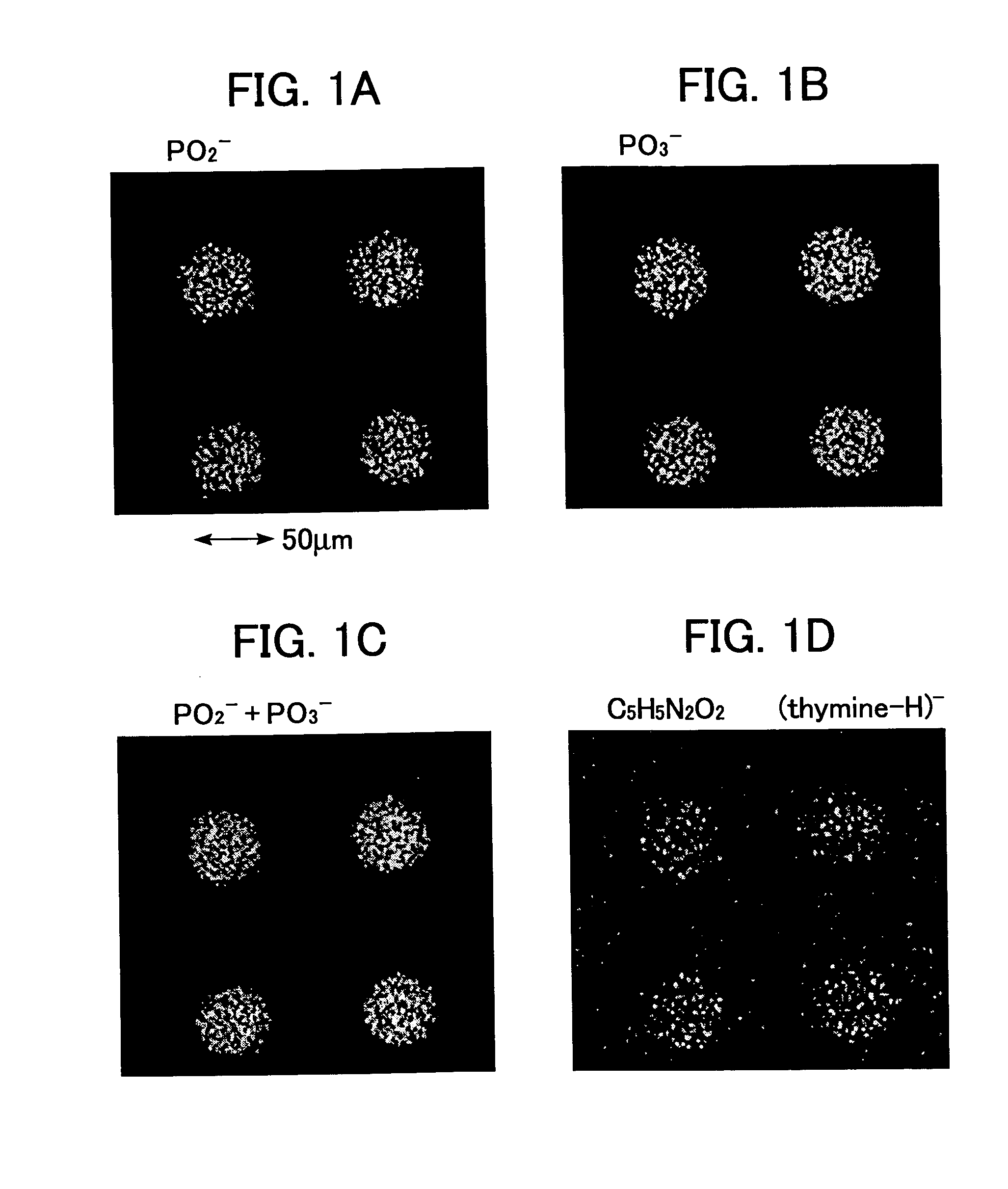 Method for acquiring information of a biochip using time of flight secondary ion mass spectrometry and an apparatus for acquiring information for the application thereof