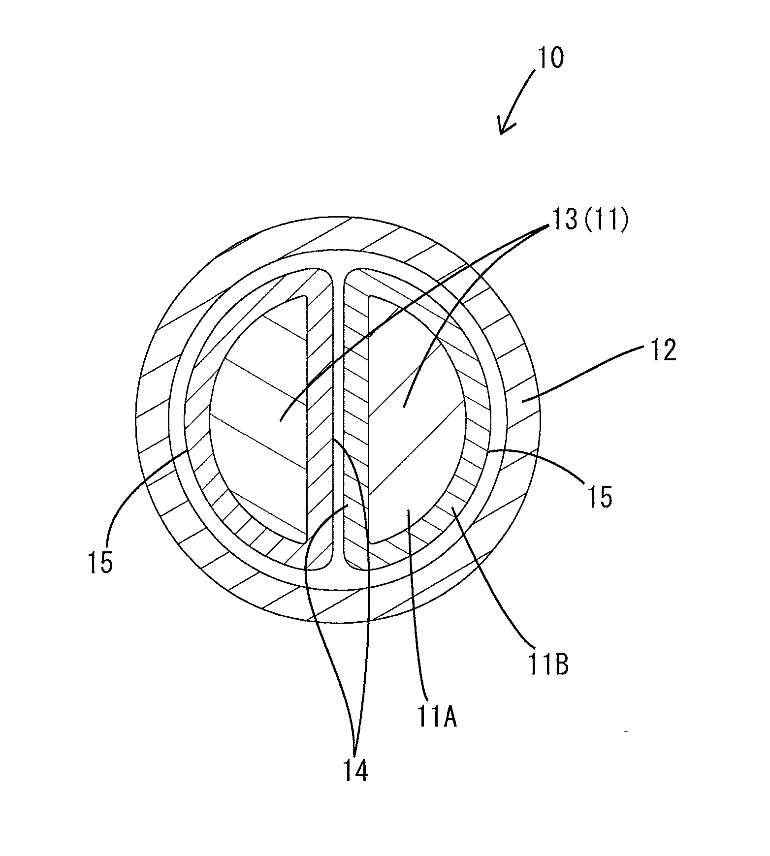 Conductive path