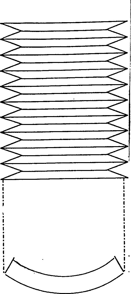 Pseudopenis imbedded between subcutaneous part and albuginea