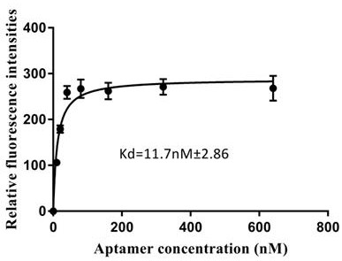 Nucleic acid aptamer specifically recognizing bovine pregnancy-associated glycoprotein 4 and its application