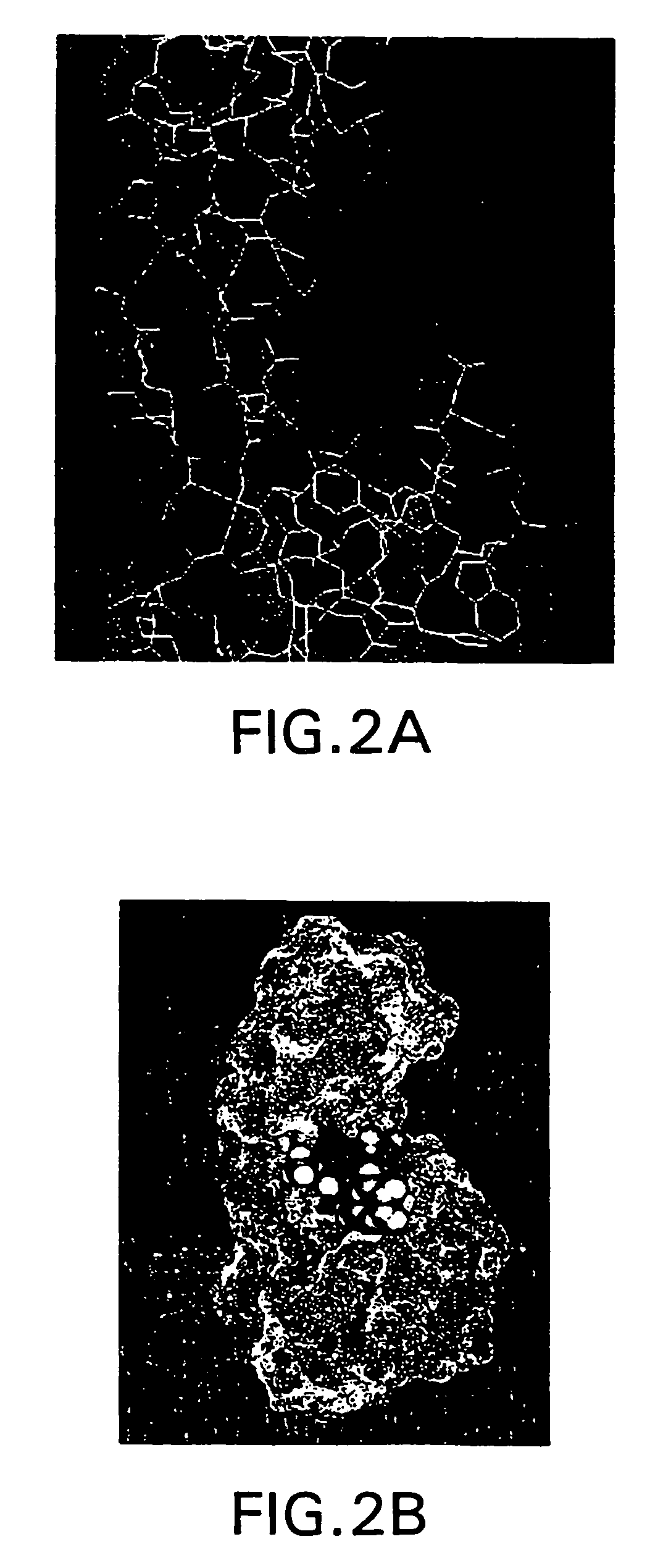 Cavity induced allosteric modification of intermolecular interactions and methods of identifying compounds that effect the same