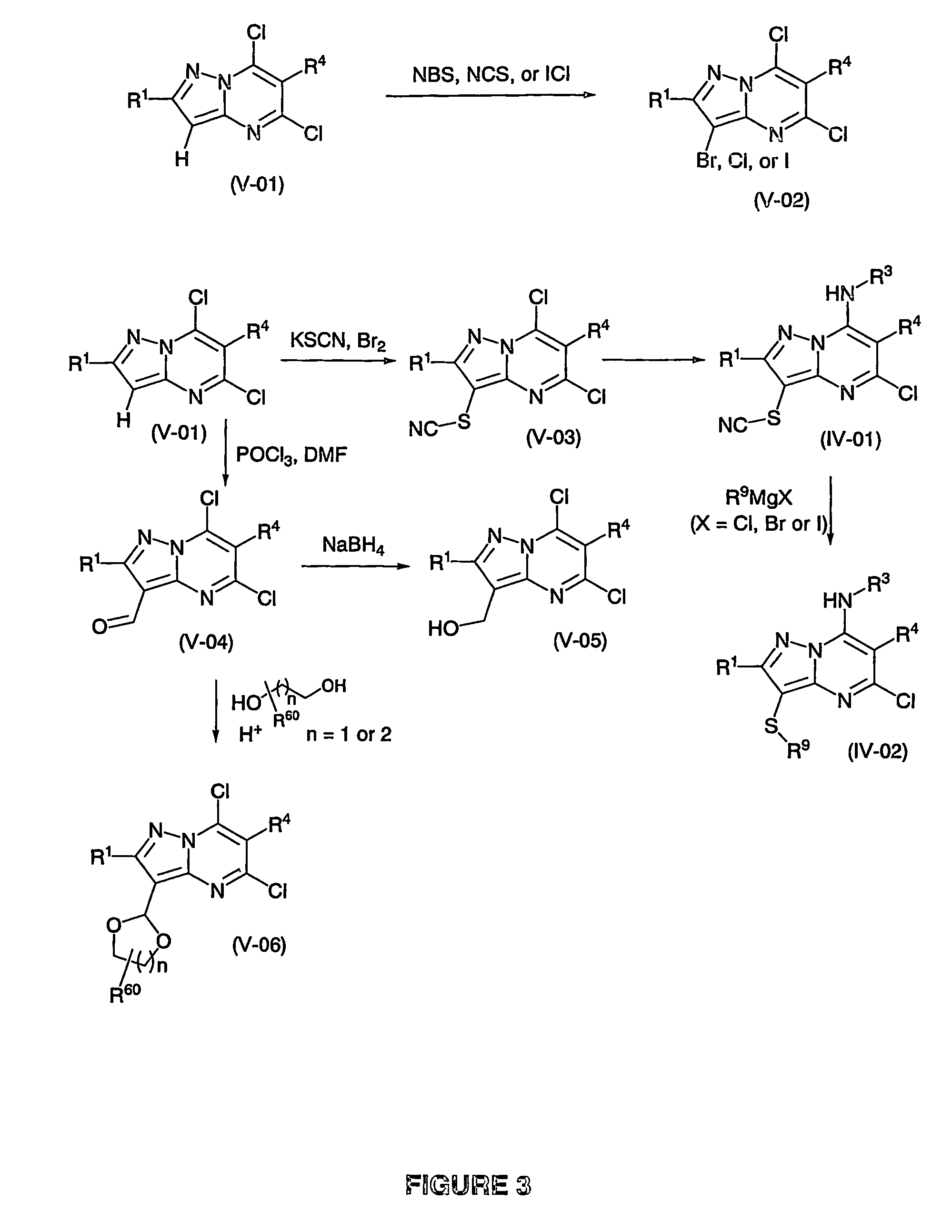 Pyrazolo[1,5-A] pyrimidine derivatives