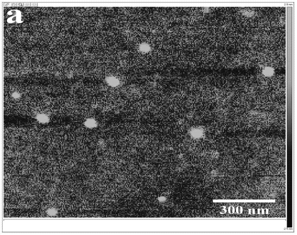 Hydrophobic modified choline phosphorylated chitosan self-assembled nano microparticle and preparation method thereof