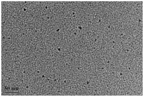 Fluorescent carbon quantum dots for monitoring pH of acid environment and preparation method and application of fluorescent carbon quantum dots