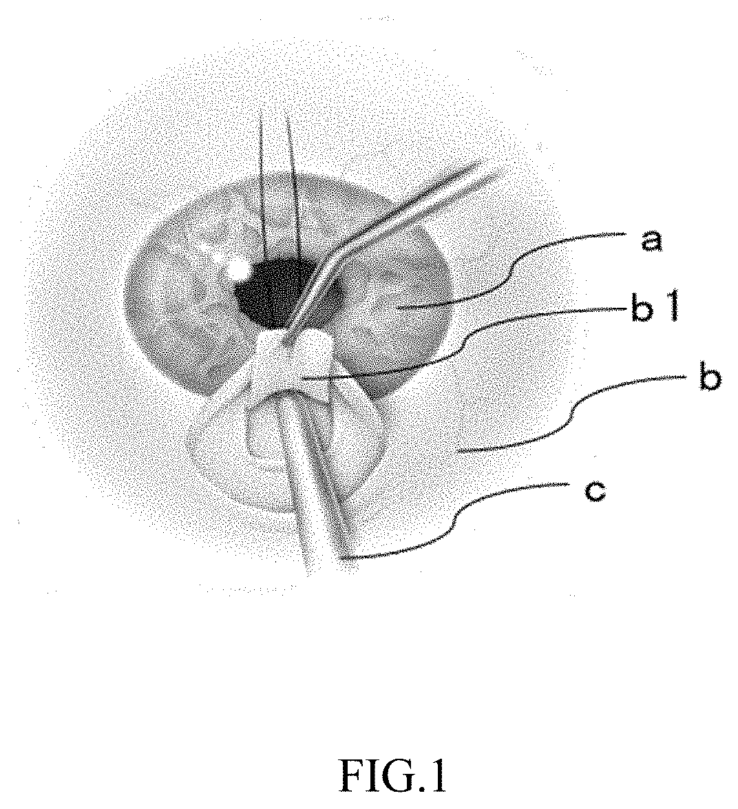 Simulated eyeball, device for training in ophthalmic surgery, and method for training in ophthalmic surgery