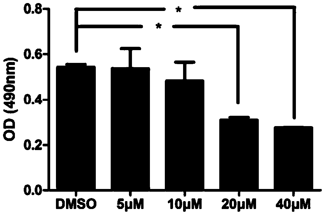 Application of compound MEAN (6-methoxyethylamino-numonafide) in preparation of anti-HBV (Hepatitis B Virus) drugs