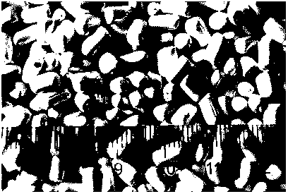 Preparation method for thermoplastic polyimide foaming particle and formed body thereof