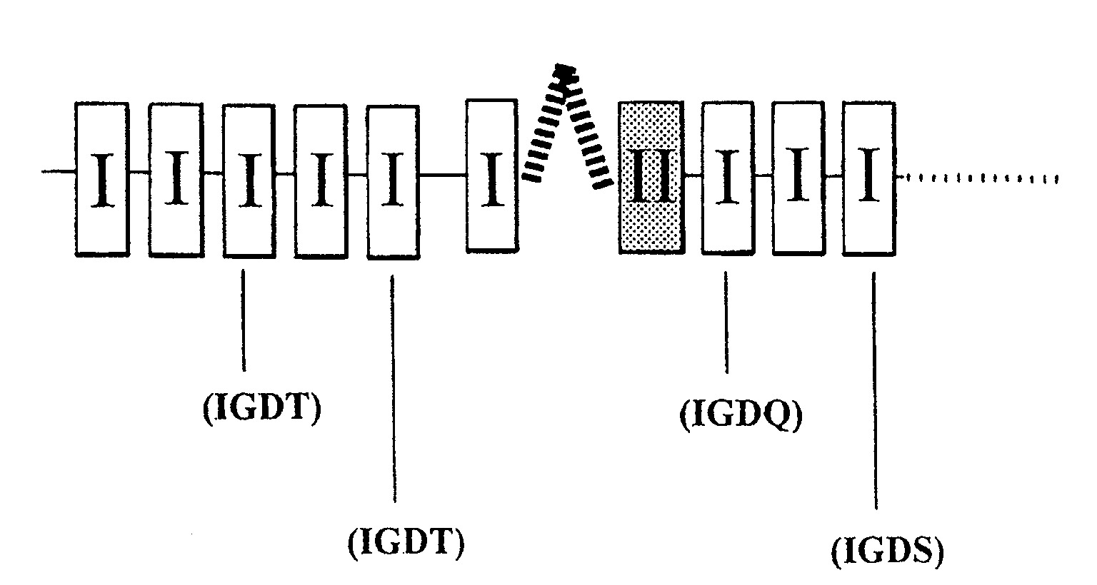 Polypeptides, polynucleotides and uses thereof