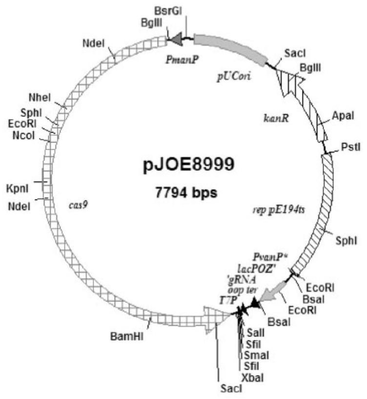 Method for removing pxo2 plasmid in bacillus anthracis