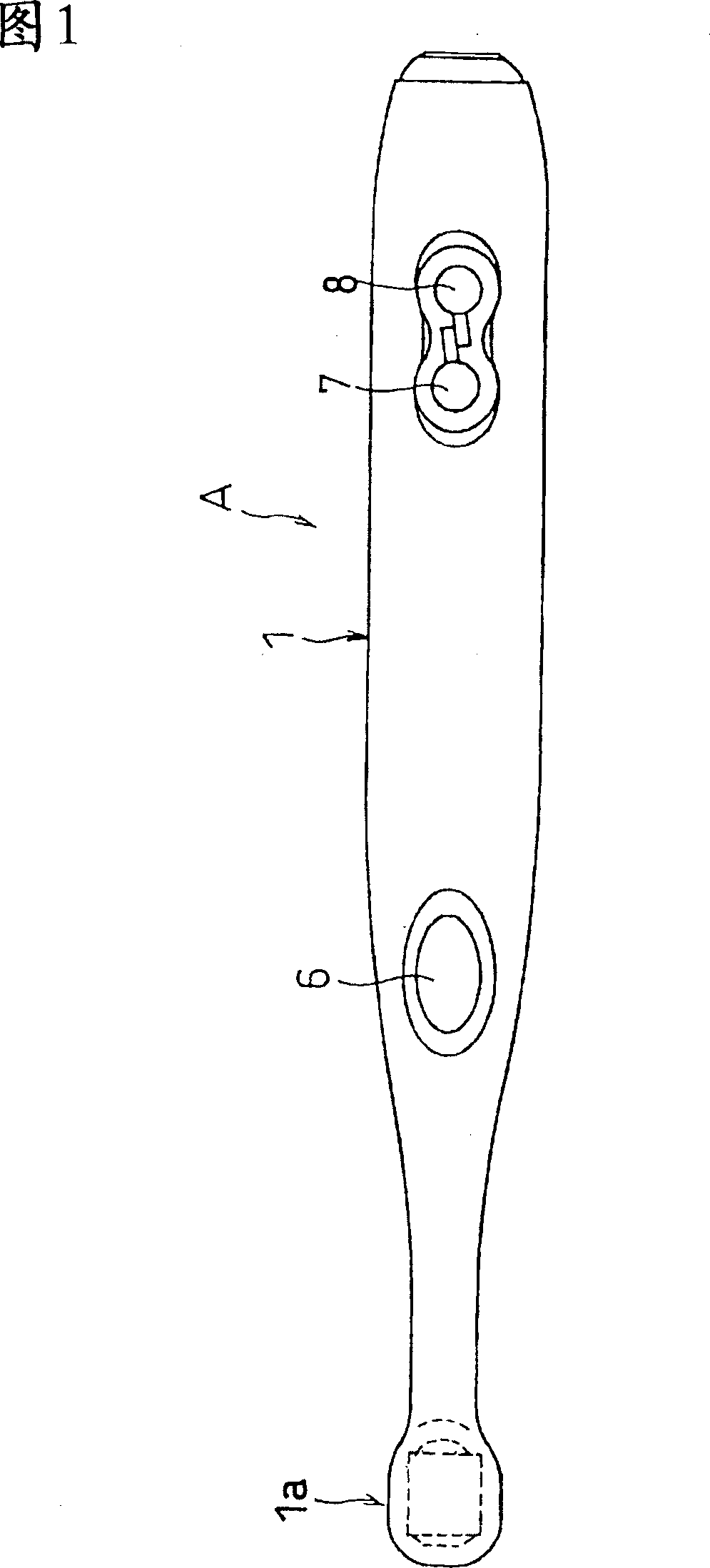 Living body observing apparatus, intraoral imaging system, and medical treatment appliance