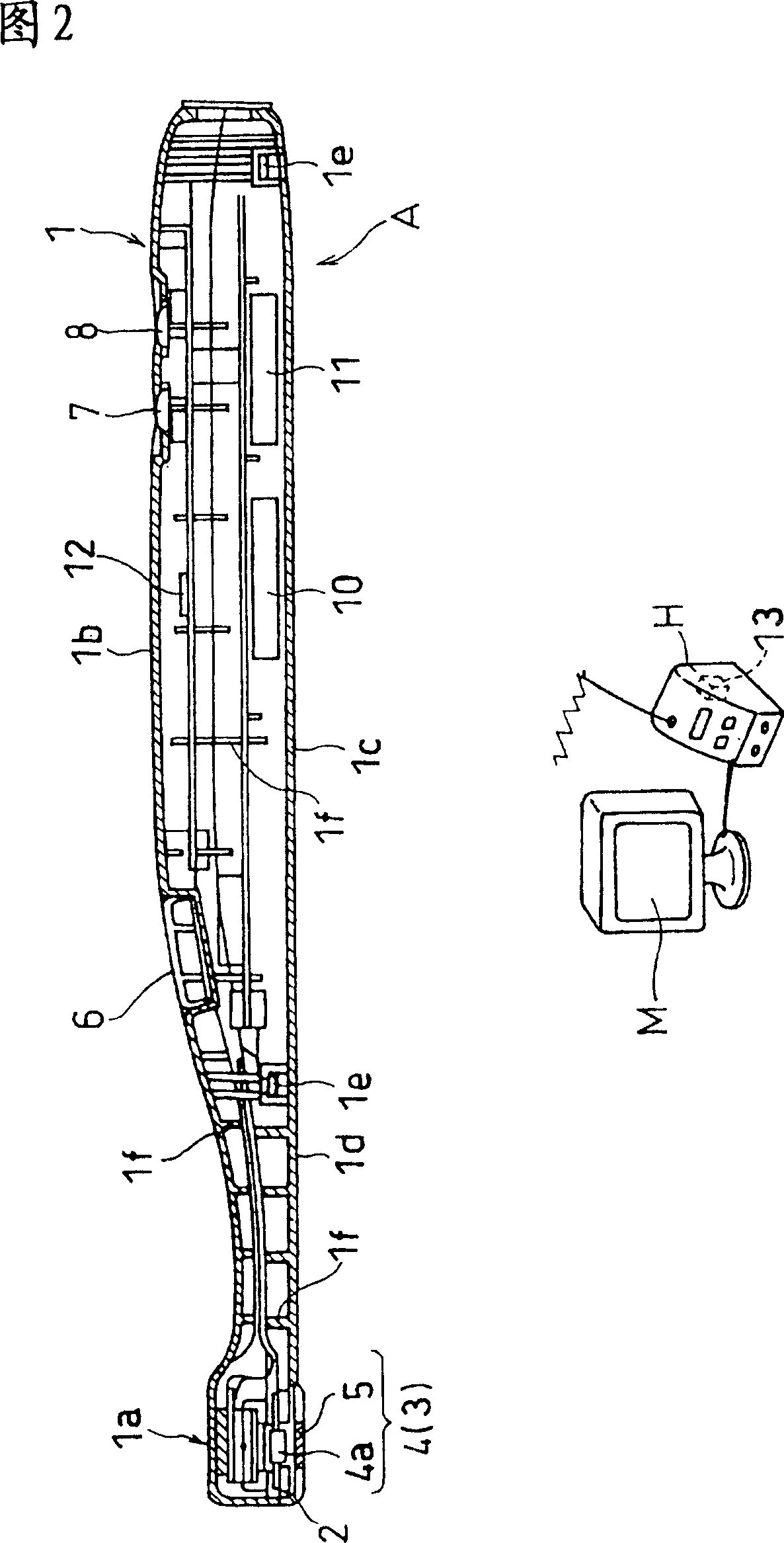 Living body observing apparatus, intraoral imaging system, and medical treatment appliance