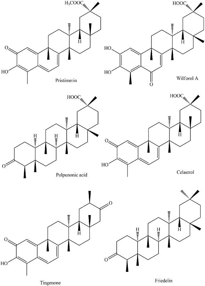 Monimopetalum Chinese extract with anti-inflammatory activity, preparing method and application of extract