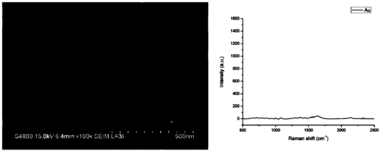 Nanoparticles for Raman spectrum detection of oral squamous cell carcinoma tumor cells and preparation method thereof