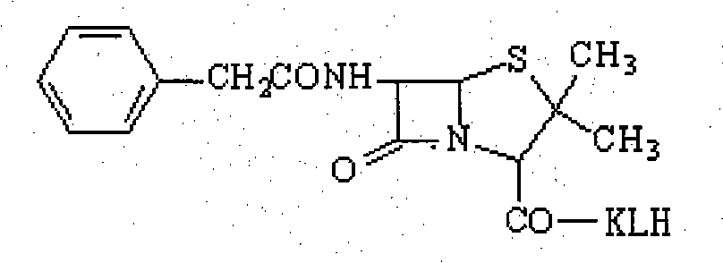 Artificial antigen and specific antibody of veterinary drug penicillin G degradation product benzylpenicilloic thiazole acid