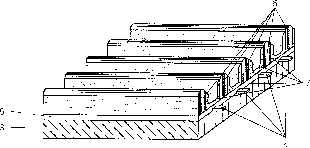 Surface discharge type plasma display screen with dual discharge spaces