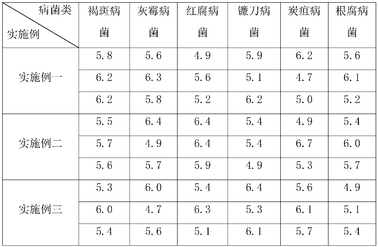 A kind of seedling raising method of Nanchuan wood pineapple in sand bed