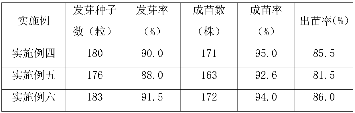 A kind of seedling raising method of Nanchuan wood pineapple in sand bed