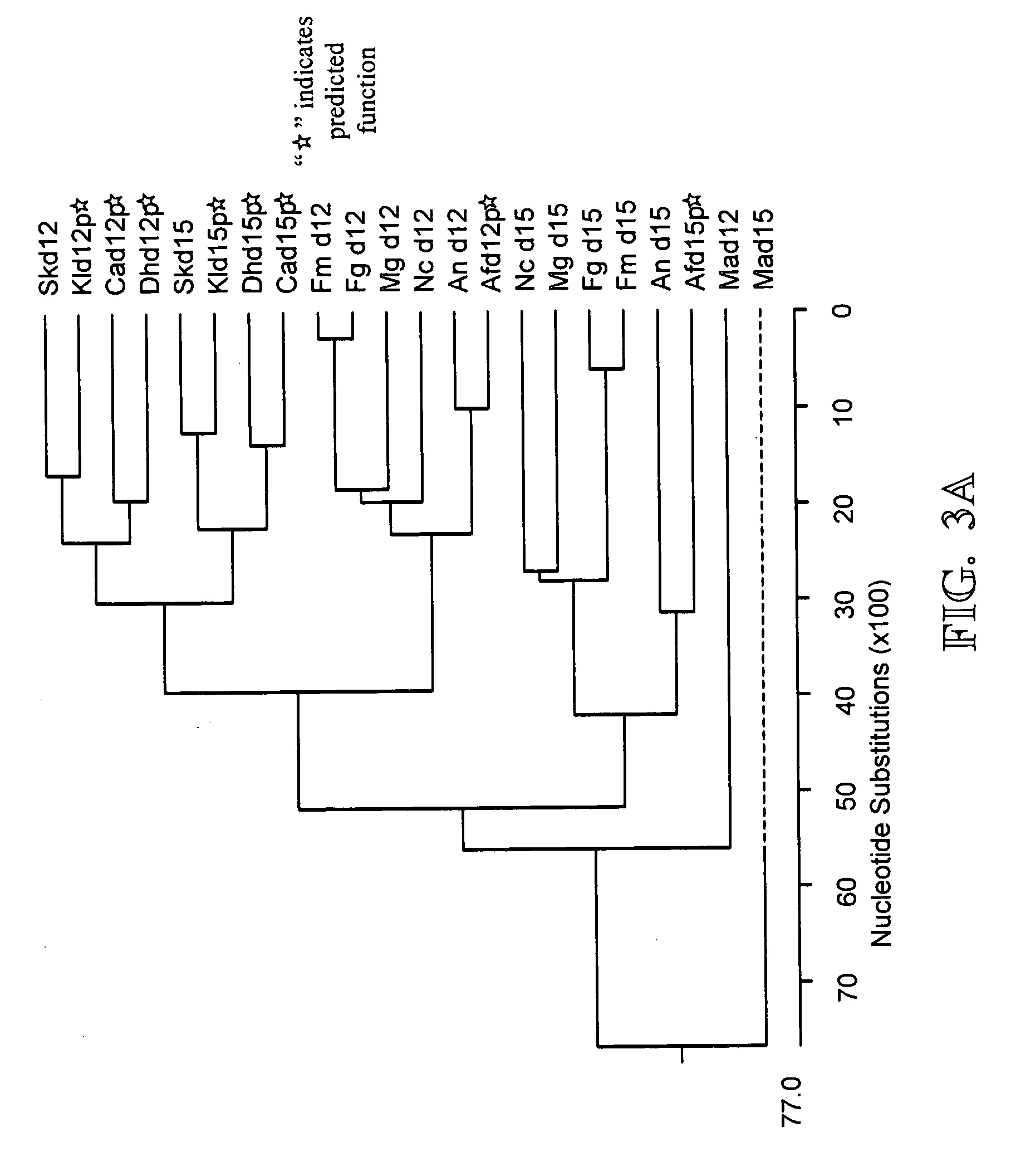 High eicosapentaenoic acid producing strains of Yarrowia lipolytica
