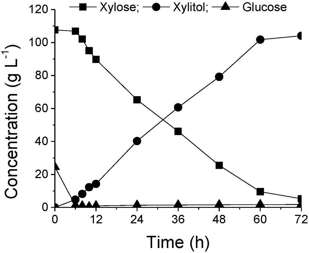 Saccharomyces cerevisiae strain and application thereof in comprehensive utilizing xylose mother liquor and corn cob residues to produce xylitol