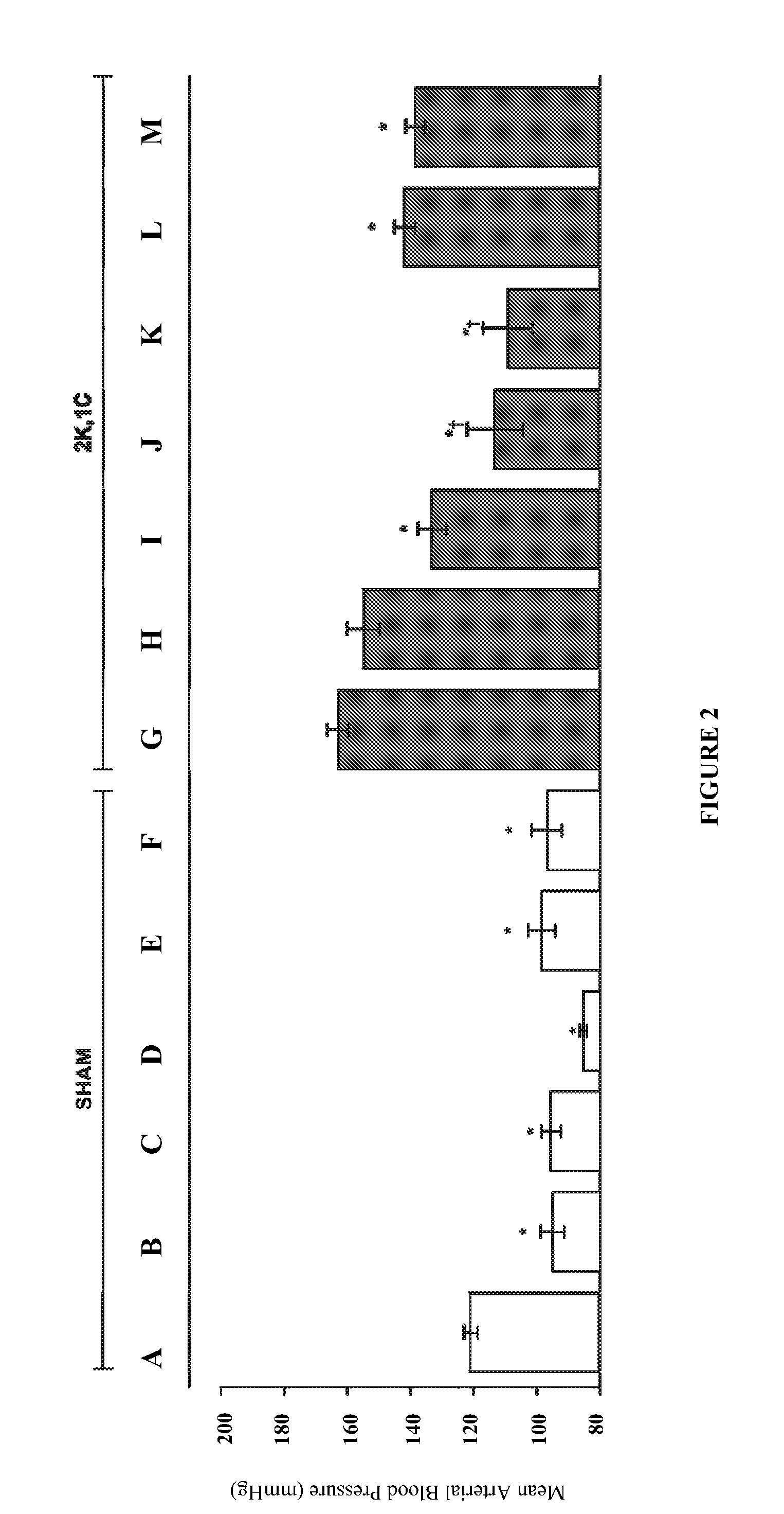 Methods and Compositions for the Treatment of Chronic Renal Hypertension