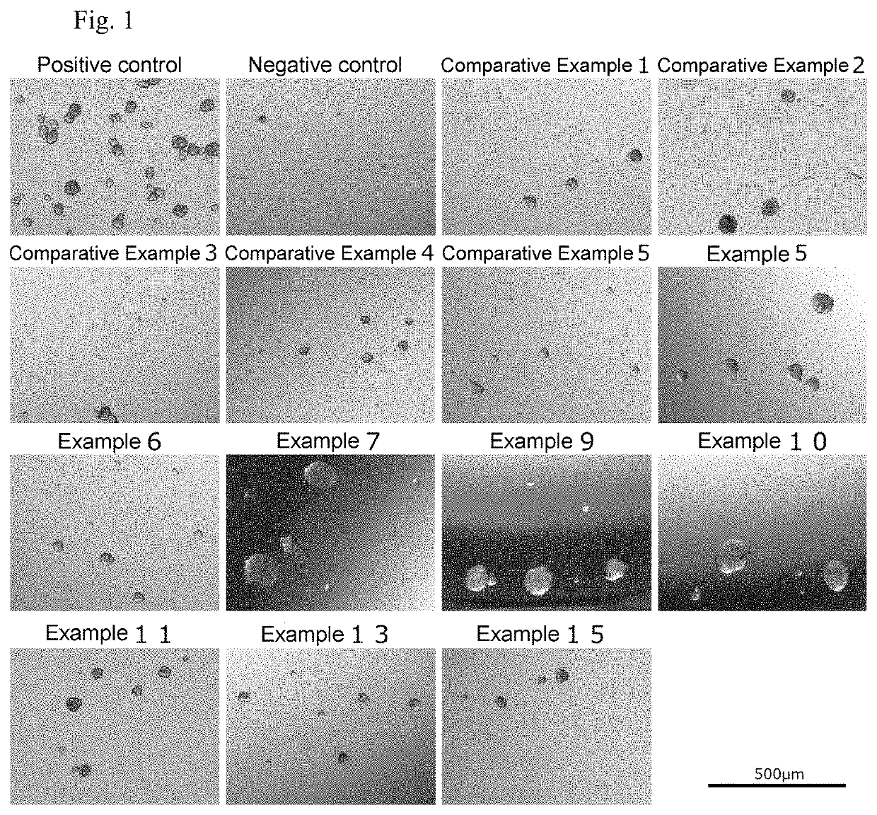 Cell culture container capable of long-term culture and method for manufacturing same