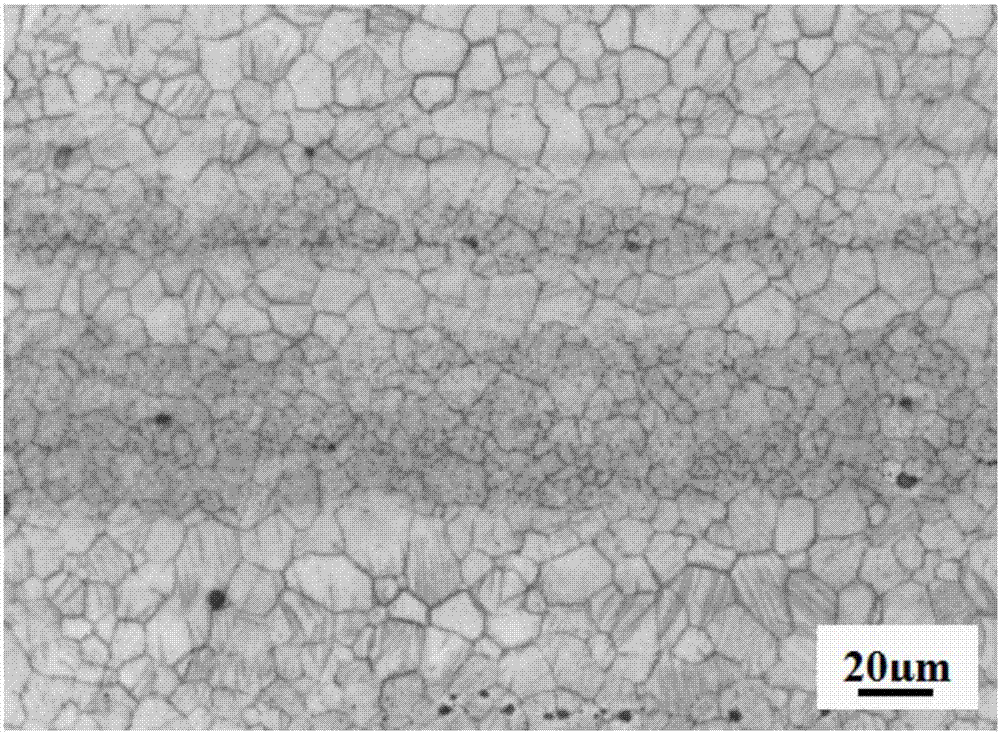 Wrought magnesium alloy and preparation method thereof