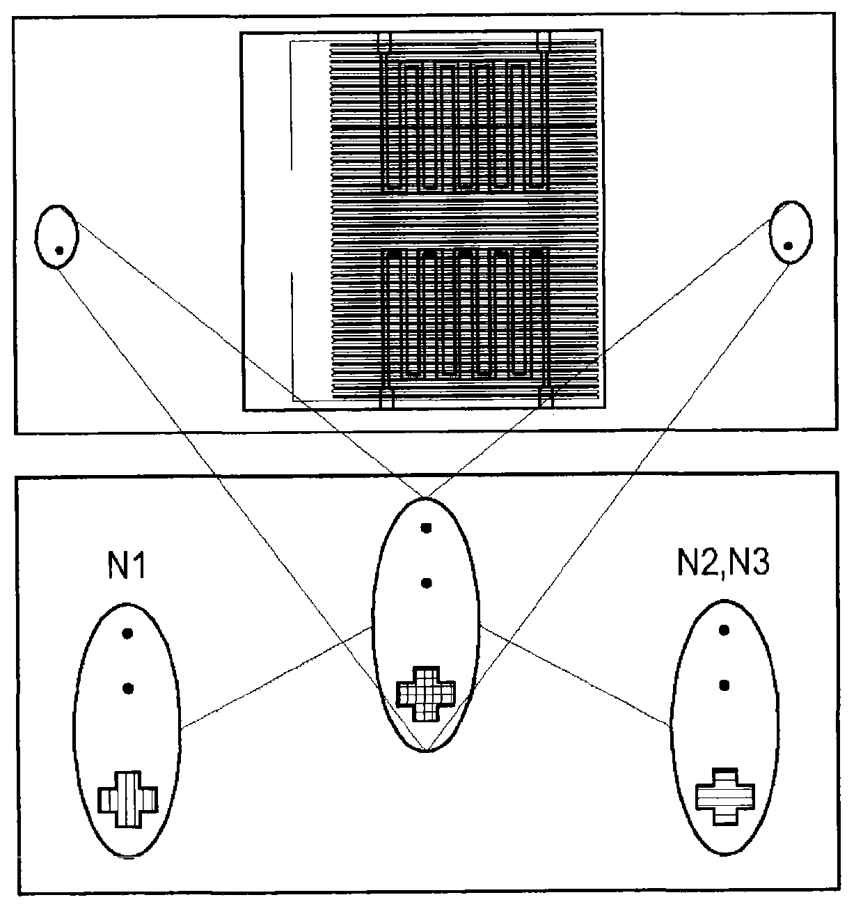 Device and method for the detection of a fungal contamination in ambient air