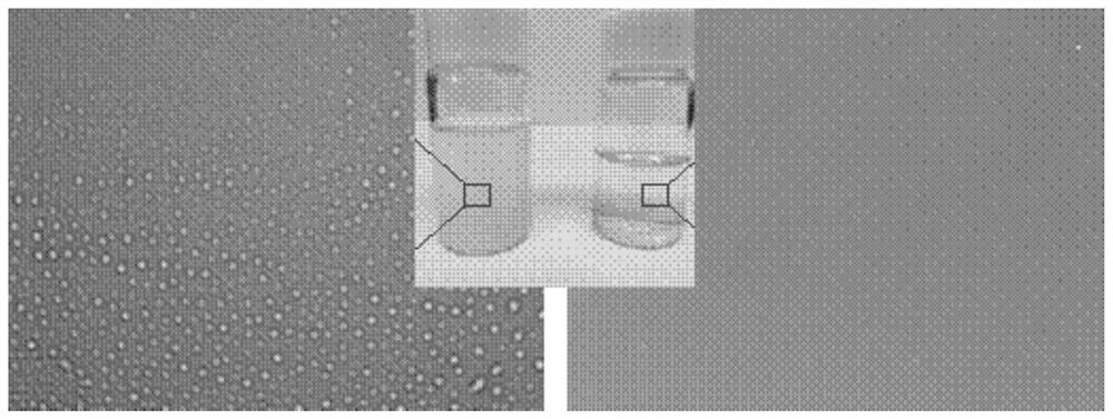 A kind of preparation method of urushiol oil-water separation membrane