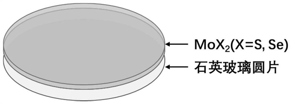 A light-cutting filter, its preparation method and application