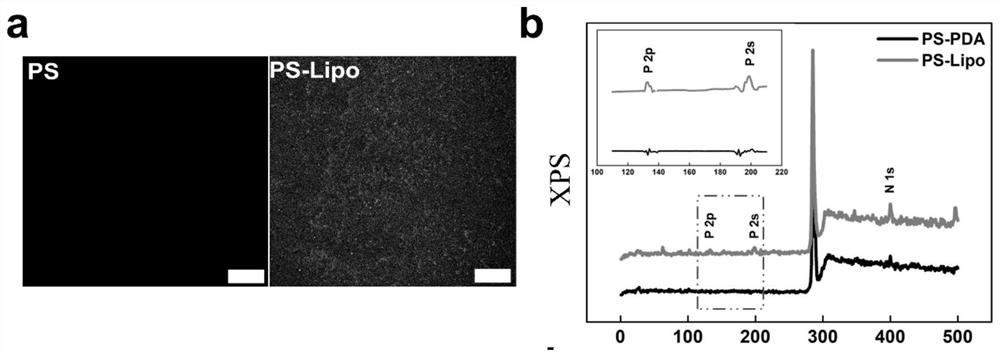 A liposome-based method for controlled release of active small molecules and its application