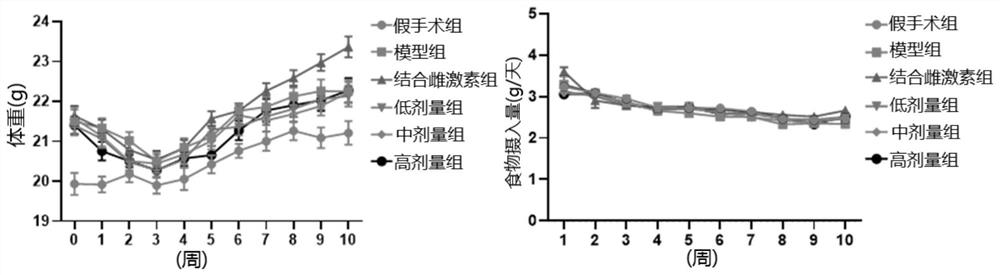 Application of columbianadin in preparation of medicines for preventing and/or treating osteoporosis