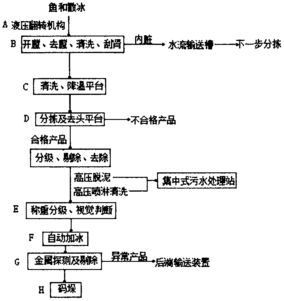 Salmon processing technology based on visual judgment and intelligent weighing and grading