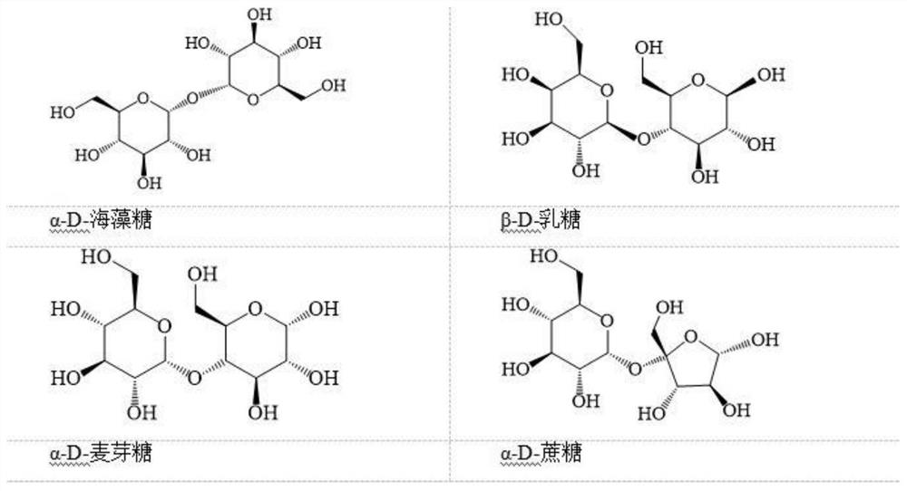 Molecular protection and prescription design method for protein drug activity