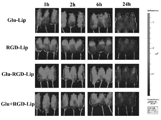 A dual brain tumor targeting lipid material and its application