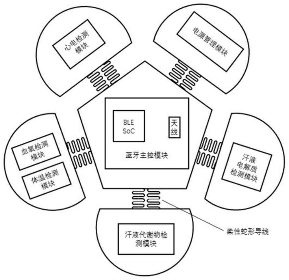 Body surface physiology and biochemistry multi-parameter monitoring device based on flexible patch