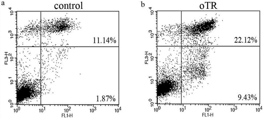 Application of apoptosis-inducing reagent in human breast cancer cell