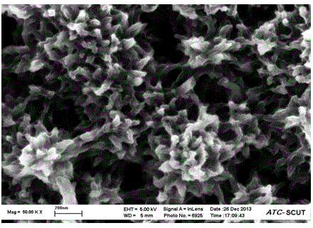 Titanium dioxide/polyaniline nano-composite structure and preparation method thereof