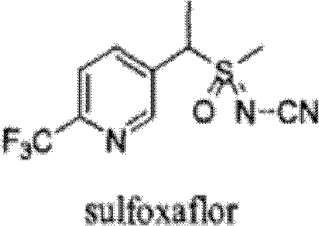 Sulfoxaflor-containing insecticidal composition