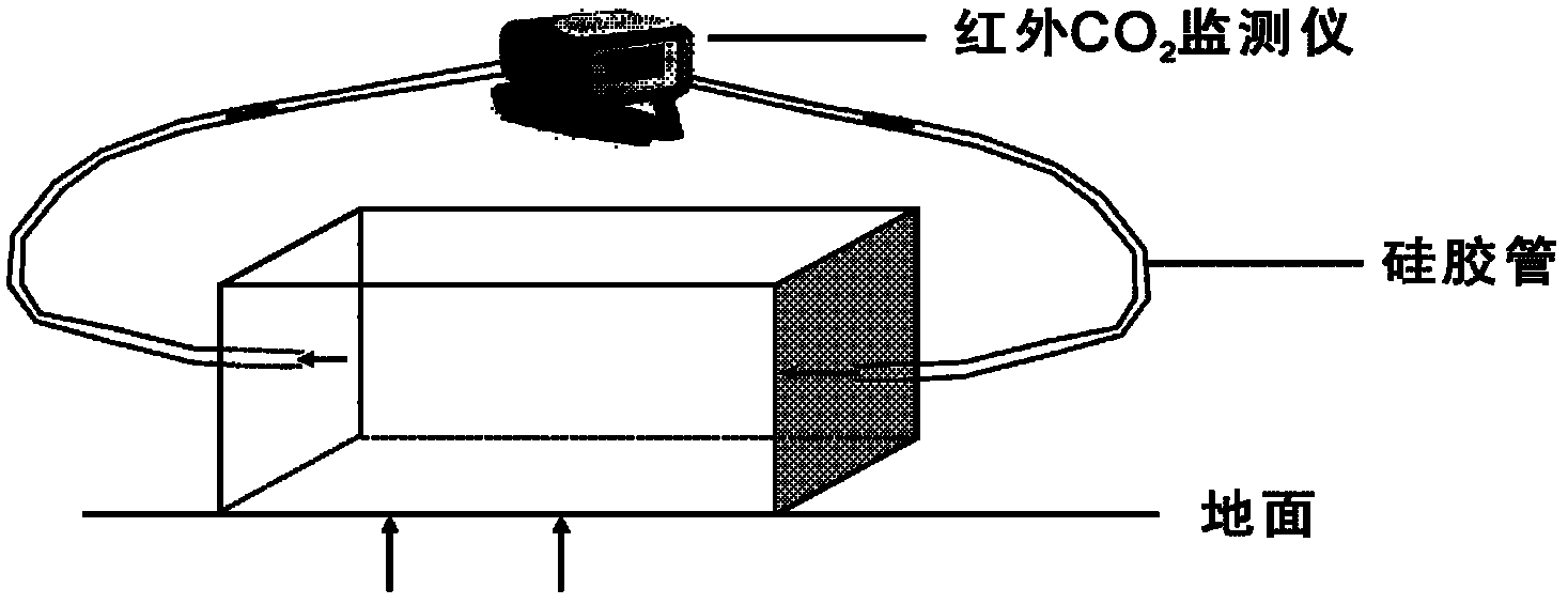 Method for measuring leakage caused by drilling in geological storage process of CO2