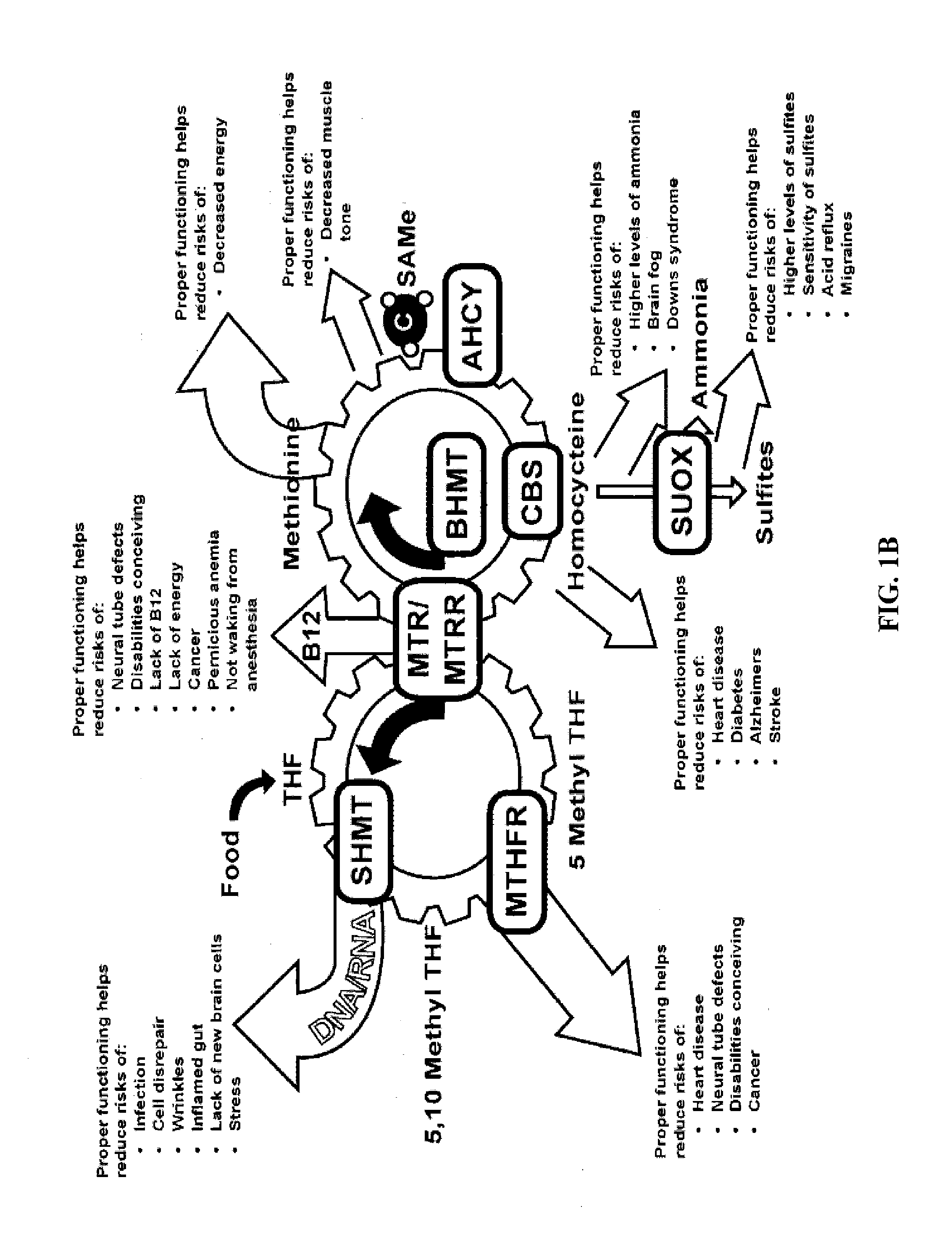 Methods Of Preventing Or Treating Disease States Related To Certain Metabolic Abnormalities