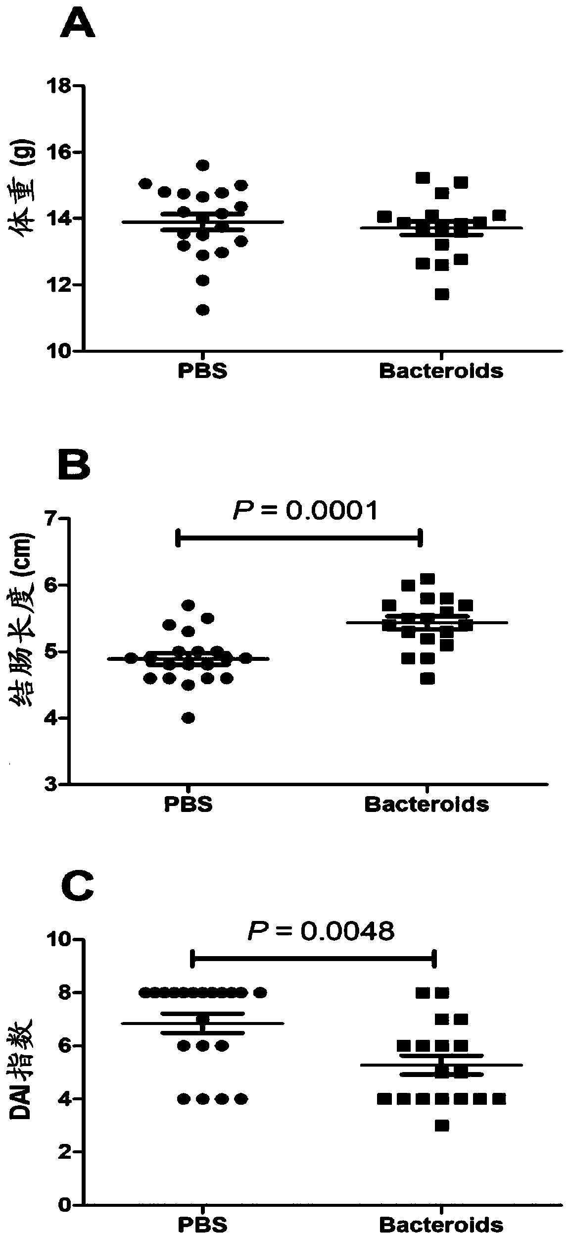 Bacteroides vulgaris strain and application thereof in preparation of medicines for treating inflammatory bowel diseases