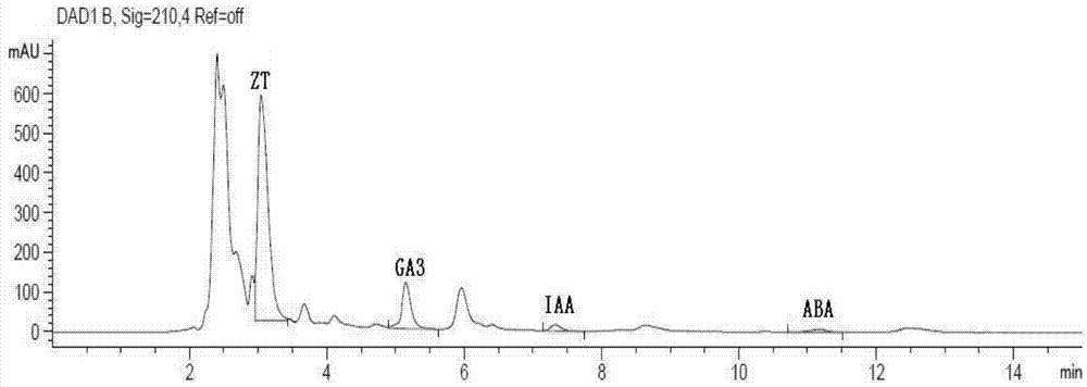 Determination method of content of endogenous hormones in terminal buds of tomato plants