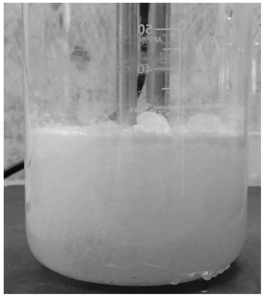 Intelligent encapsulation acid and use method