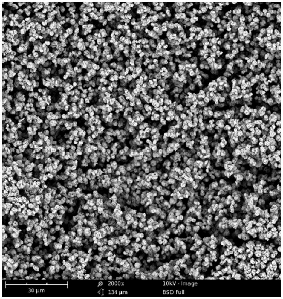 Application of a Copper Metal Organic Framework Membrane in Catalytic Degradation of Organic Dyes